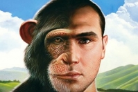 فرق مهم انسان و میمون چیست؟ دانشمندان لایپزیک آلمان پاسخ می دهند